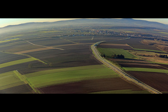 L548 nach Winden im Ortsteil Minderslachen in Kandel im Bundesland Rheinland-Pfalz, Deutschland