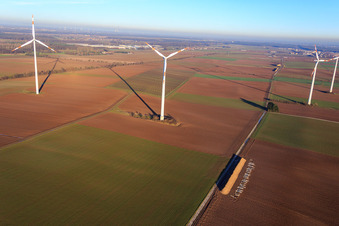 Minfelder Windpark im Bundesland Rheinland-Pfalz, Deutschland aus der Luft betrachtet