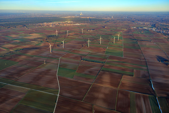 Windpark von Süden in Offenbach an der Queich im Bundesland Rheinland-Pfalz, Deutschland