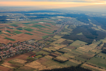 Luftbild von Viehstrich im Winter aus Westen in Minfeld im Bundesland Rheinland-Pfalz, Deutschland