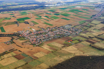 Dorfübersicht im Winter aus Südwesten in Minfeld im Bundesland Rheinland-Pfalz, Deutschland