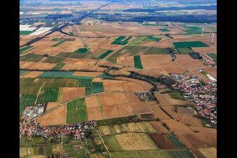 B427 nach Winden von Süden in Minfeld im Bundesland Rheinland-Pfalz, Deutschland