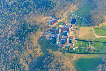 Pferdepension auf dem Kloster Liebfrauenberg in Bad Bergzabern im Bundesland Rheinland-Pfalz, Deutschland