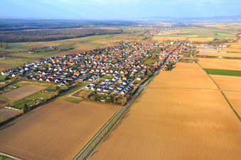 Luftbild von Dorfübersicht im Winter an der B427 aus Osten in Minfeld im Bundesland Rheinland-Pfalz, Deutschland