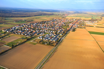Luftaufnahme von Dorfübersicht im Winter an der B427 aus Osten in Minfeld im Bundesland Rheinland-Pfalz, Deutschland