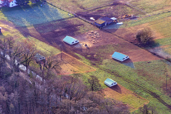 Luftbild von Mobeler Hühnerstall der Biohühnerfarm von  Hofladen Stoltz an der Hardtmühle in Kandel im Bundesland Rheinland-Pfalz, Deutschland
