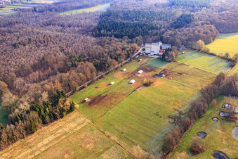 Mobeler Hühnerstall der Biohühnerfarm von  Hofladen Stoltz an der Hardtmühle in Kandel im Bundesland Rheinland-Pfalz, Deutschland vom Flugzeug aus