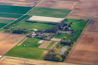 Reitstall Spieß und MRC-Harthausen im Bundesland Rheinland-Pfalz, Deutschland