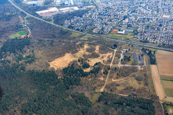 Sanddünen im Wald an der Natostr in Dudenhofen im Bundesland Rheinland-Pfalz, Deutschland
