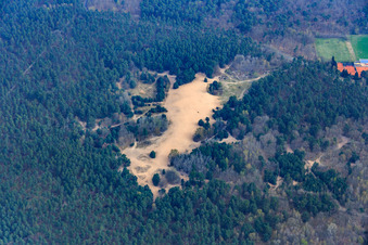 Sanddünen im Wald an der Natostr in Speyer im Bundesland Rheinland-Pfalz, Deutschland