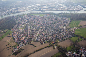 Ortsansicht der Straßen und Häuser der Wohngebiete in Altrip im Bundesland Rheinland-Pfalz, Deutschland