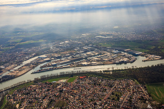 Ortsansicht am Rhein und Rheinauhafen in Altrip im Bundesland Rheinland-Pfalz, Deutschland