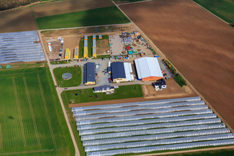 Spargel & Obsthof Wendel in Zwingenberg im Bundesland Hessen, Deutschland