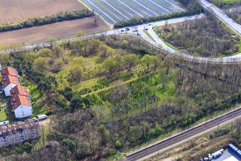 Jüdischer Friehof im Ortsteil Sandwiese in Alsbach-Hähnlein im Bundesland Hessen, Deutschland