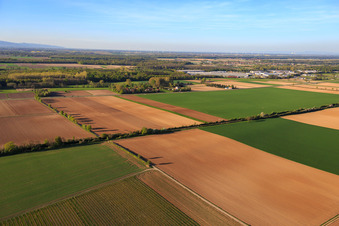 Ortsteil Höfen im Winter aus Süden im Ortsteil Minderslachen in Kandel im Bundesland Rheinland-Pfalz, Deutschland