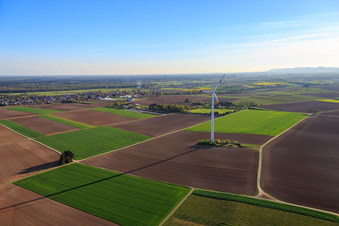 Minfelder Windpark im Bundesland Rheinland-Pfalz, Deutschland aus der Luft betrachtet