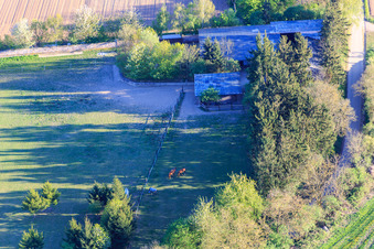 Schrägluftbild von Koppel von Trakehner-Friedrich in Minfeld im Bundesland Rheinland-Pfalz, Deutschland