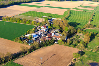 Palatino Ranch in Steinweiler im Bundesland Rheinland-Pfalz, Deutschland