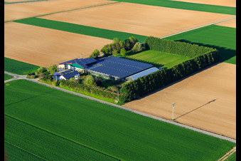 Sudetenhof in Steinweiler im Bundesland Rheinland-Pfalz, Deutschland