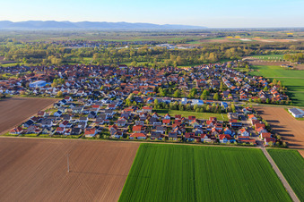 Ahornweg, Birkenweg von Süden in Steinweiler im Bundesland Rheinland-Pfalz, Deutschland