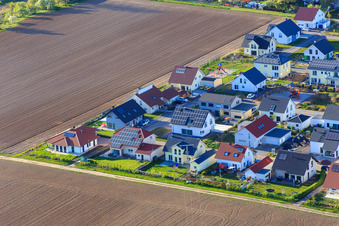 Birkenweg in Steinweiler im Bundesland Rheinland-Pfalz, Deutschland