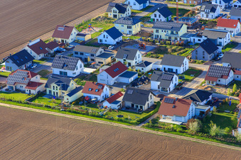 Luftbild von Birkenweg in Steinweiler im Bundesland Rheinland-Pfalz, Deutschland