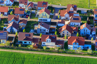 Schrägluftbild von Ahornweg in Steinweiler im Bundesland Rheinland-Pfalz, Deutschland
