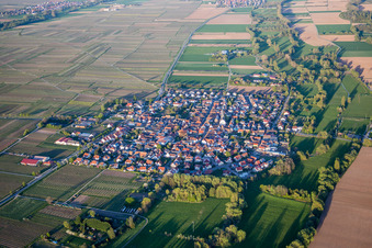 Luftbild von Dorf - Ansicht am Rande von landwirtschaftlichen Feldern und Nutzflächen in Venningen im Bundesland Rheinland-Pfalz, Deutschland