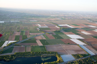 Mussbacher Baggerweiher im Ortsteil Mußbach in Neustadt an der Weinstraße im Bundesland Rheinland-Pfalz, Deutschland