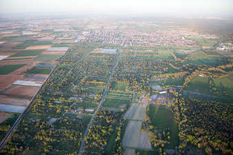 Haßloch im Bundesland Rheinland-Pfalz, Deutschland