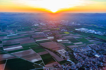Dorfansicht bei Sonnenuntergang aus Osten im Ortsteil Mörlheim in Landau in der Pfalz im Bundesland Rheinland-Pfalz, Deutschland