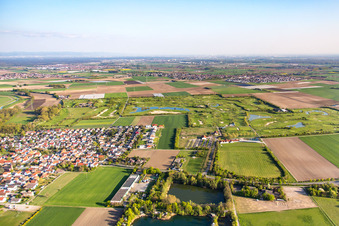 Ortsteil Nordheim in Biblis im Bundesland Hessen, Deutschland