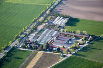 Gärtnerei Tils im Ortsteil Rheindürkheim in Worms im Bundesland Rheinland-Pfalz, Deutschland