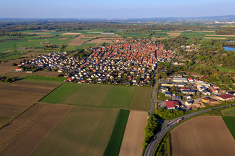 Ortsansicht aus Westen in Gimbsheim im Bundesland Rheinland-Pfalz, Deutschland