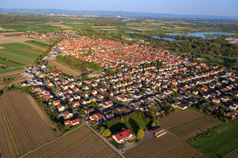 Dorfansicht aus Nordwesten in Gimbsheim im Bundesland Rheinland-Pfalz, Deutschland