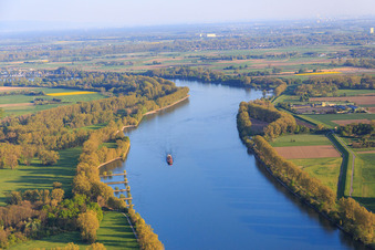 Flußverlauf des Rhein in Gimbsheim im Bundesland Rheinland-Pfalz, Deutschland