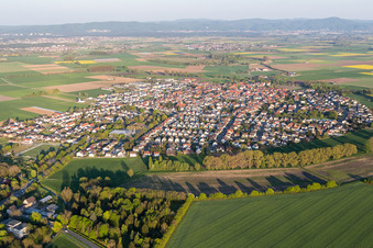 Riedstadt/Crumstadt