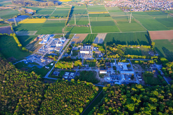 Open Grid Europe GmbH im Ortsteil Allmendfeld in Gernsheim im Bundesland Hessen, Deutschland von oben