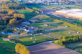 Gestüt Wolf an der A5 in Bickenbach im Bundesland Hessen, Deutschland
