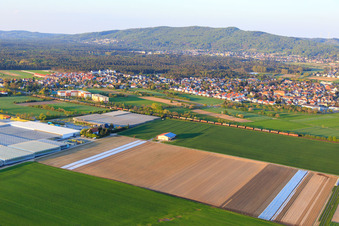 Güterzug neben Trübenbach Gemüsejungpflanzen GmbH & Co. KG in Bickenbach im Bundesland Hessen, Deutschland