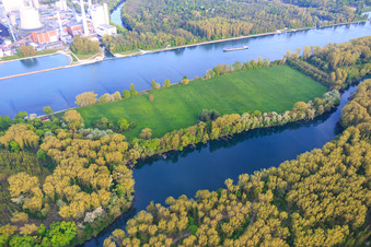 Luftbild von Naturschutzgebiet Goldgrund Insel Nauaus zwischen Rhein und Hagenbacher Altrhein im Ortsteil Maximiliansau in Wörth am Rhein im Bundesland Rheinland-Pfalz, Deutschland