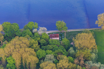 Goldgrund am Rheinufer im Ortsteil Maximiliansau in Wörth am Rhein im Bundesland Rheinland-Pfalz, Deutschland