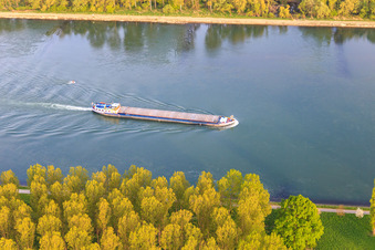 Frachtschiff auf dem Rhein in Neuburg am Rhein im Bundesland Rheinland-Pfalz, Deutschland