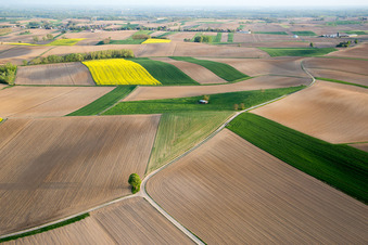 Schrägluftbild von Niederlauterbach im Bundesland Bas-Rhin, Frankreich