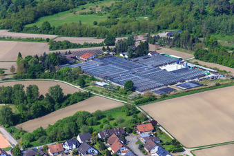 Schrägluftbild von Geranien Endisch in Hagenbach im Bundesland Rheinland-Pfalz, Deutschland