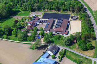 Luftaufnahme von Pferdepension in Hagenbach im Bundesland Rheinland-Pfalz, Deutschland