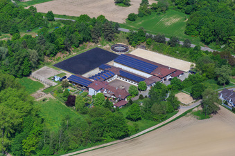 Pferdepension in Hagenbach im Bundesland Rheinland-Pfalz, Deutschland aus der Luft