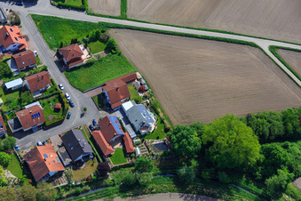 Ahornstr in Hagenbach im Bundesland Rheinland-Pfalz, Deutschland