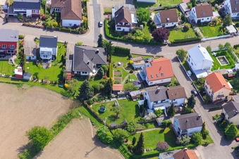 Birkenstr in Hagenbach im Bundesland Rheinland-Pfalz, Deutschland