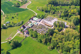 Bienwald-Baumschule GbR in Berg im Bundesland Rheinland-Pfalz, Deutschland